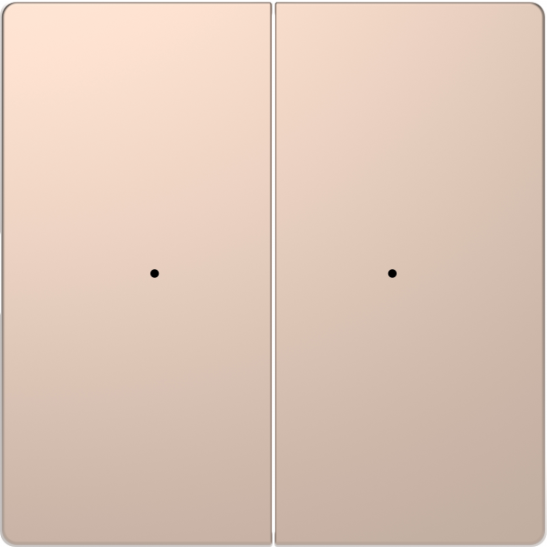 Schneider Electric  MERTEN  D-Life  PlusLink  Шампань  Клавиша 2-местная без символов MTN5220-6051
