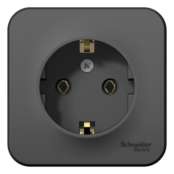 Schneider Electric  BLANCA  Антрацит  Розетка с заземляющими контактами без шторок изолирующая пластина 16А, 250В, открытая установка  BLNRA010116