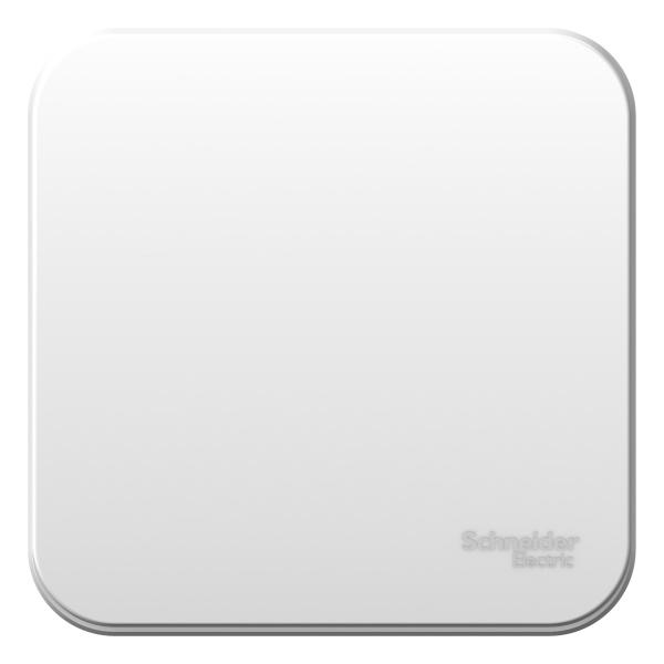 Schneider Electric  BLANCA  Белый  Выключатель 1-клавишный (cхема.1) монтажная пластина, 6А, 250В, открытая установка BLNVA061021