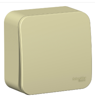 Schneider Electric  BLANCA  Бежевый Выключатель  1-клавишный (cхема.1) изолирующая пластина, 10А, 250B, открытая установка BLNVA101017