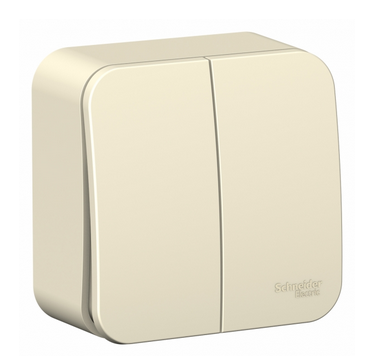 Schneider Electric  BLANCA  Молочный Выключатель 2-клавишный (cхема.5) 10А, 250B, открытая установка BLNVA105002