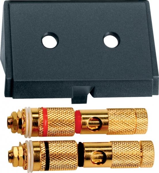 Schneider Electric Merten  Черный  Вставка с разъемами HIGH-END 2-местная MTN464387
